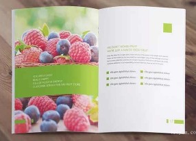 上海畫冊印刷正規企業如何選擇