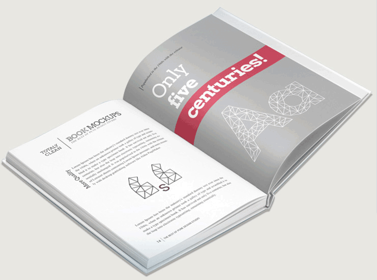 2020年精裝書冊宣傳書籍印刷 第1張 2020年精裝書冊宣傳書籍印刷 第1張