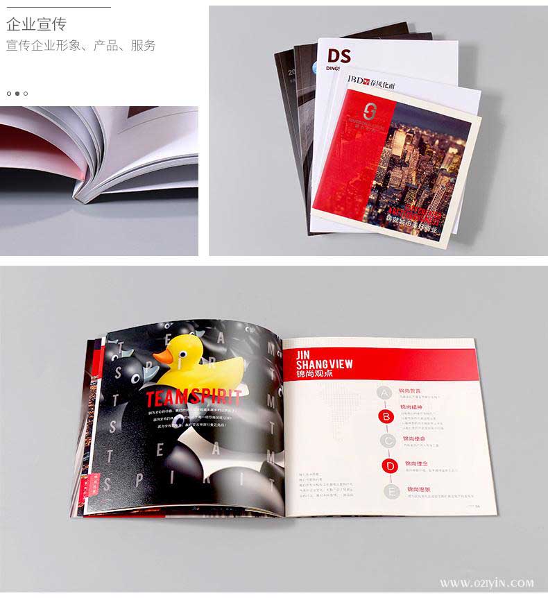 企業(yè)畫(huà)冊(cè)  第2張