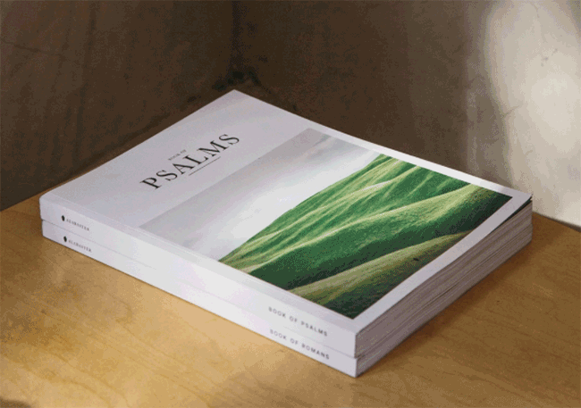 高檔畫(huà)冊(cè) 第3張 高檔畫(huà)冊(cè) 第3張