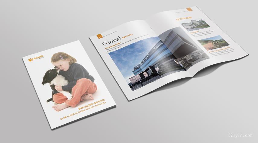 上海彩頁印刷時(shí)會(huì)碰到哪些常見問題? 第1張 上海彩頁印刷時(shí)會(huì)碰到哪些常見問題? 第1張